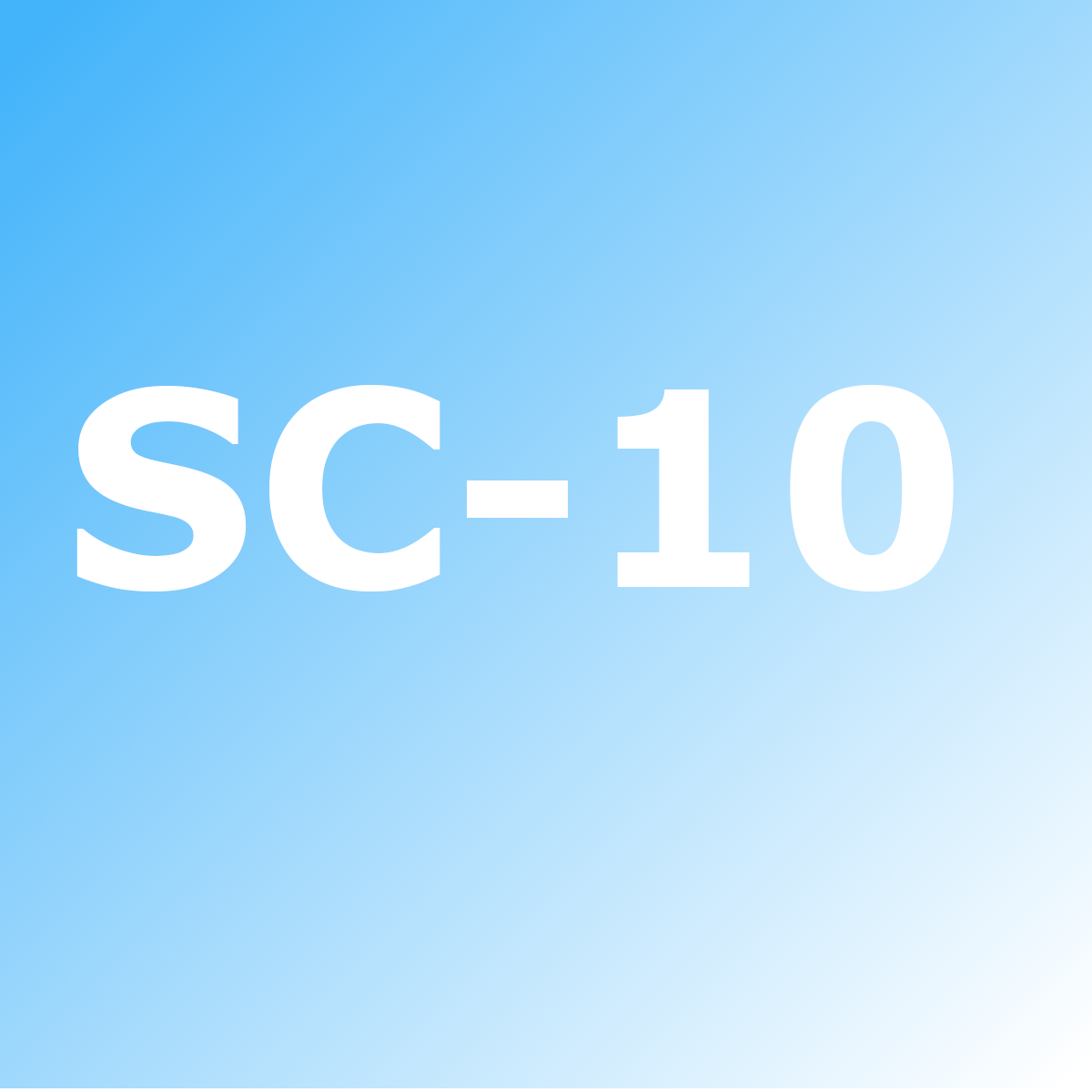 Teile für den SC-10 Kompressor