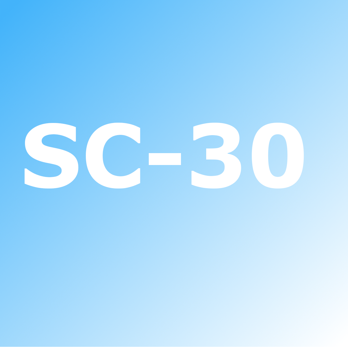 Teile für den SC-30 Kompressor