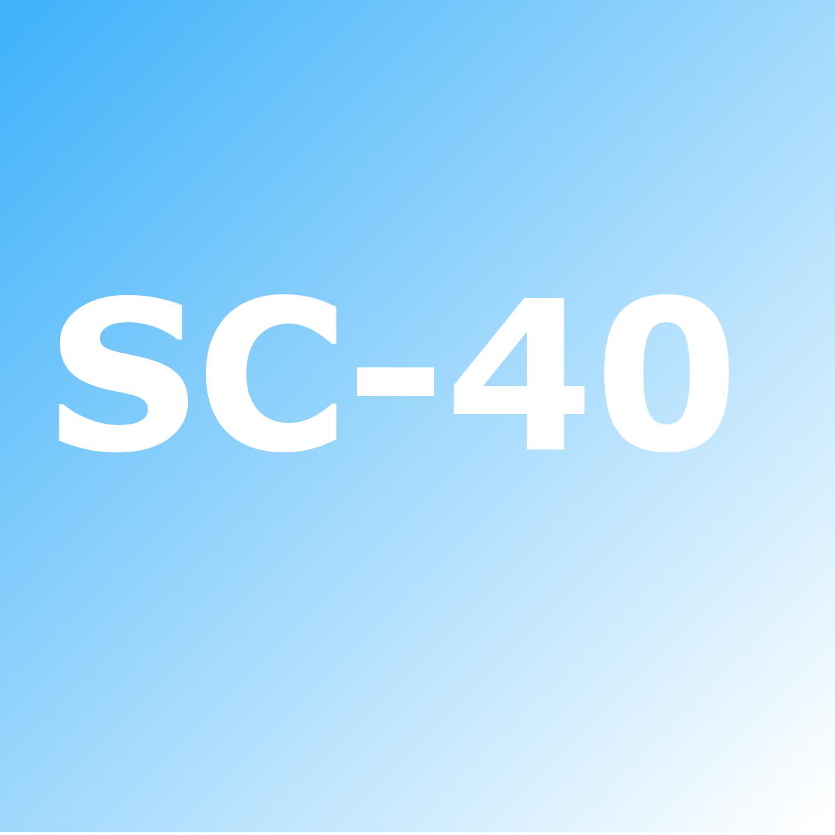 Teile für den SC-40 Kompressor